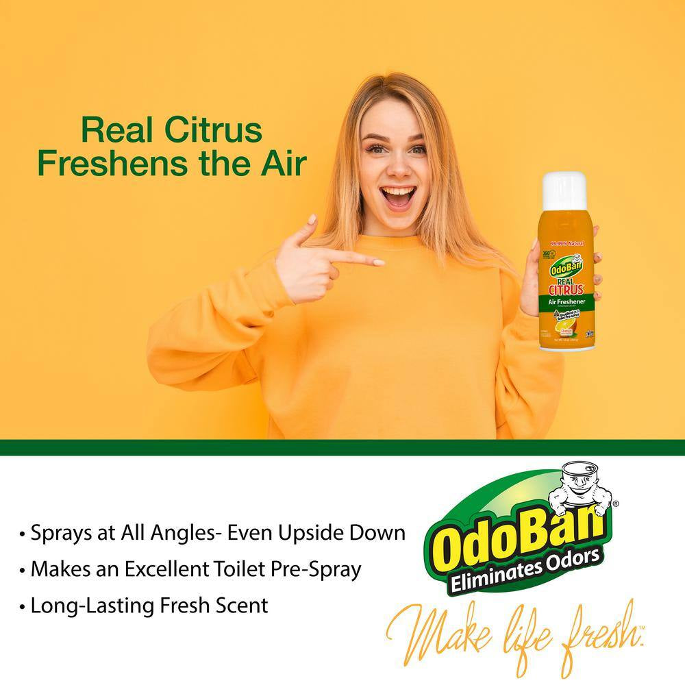 10 Oz. Orange Real Citrus Air Freshener Spray, Citrus Oil Natural Air Freshener, Room Deodorizer & Toilet Spray (6 Pack)