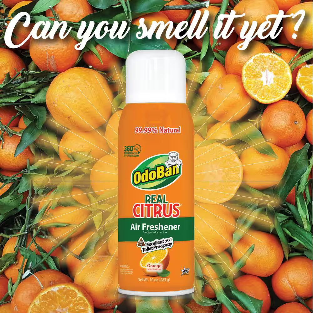 10 Oz. Orange Real Citrus Air Freshener Spray, Citrus Oil Natural Air Freshener, Room Deodorizer & Toilet Spray (6 Pack)